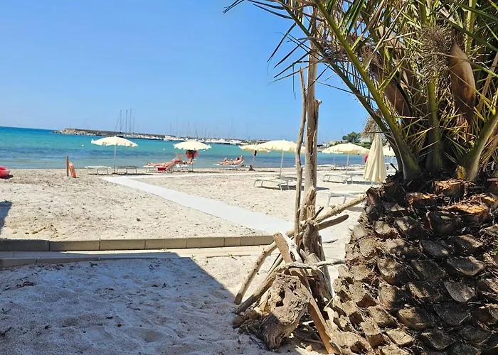 Vel Mari - On The * Альгеро